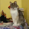 Отзыв от Вика Клюева